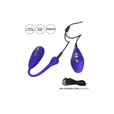 ESTIM REMOTE KEGEL EXERCISER