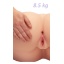 FAT ASS BIMBO 8.5KG