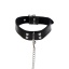 ELEGANT COLLAR AND CHAIN LEASH