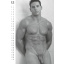 REAL COCKS CALENDAR 2027