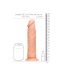 DONG WITHOUT TESTICLES - 10" / 25CM