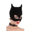 CAT MASK 