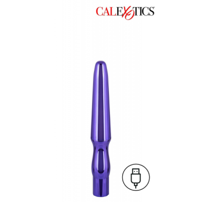 12828-12828_662cf92c873824.03233555_rechargeable-anal-probe_large.png