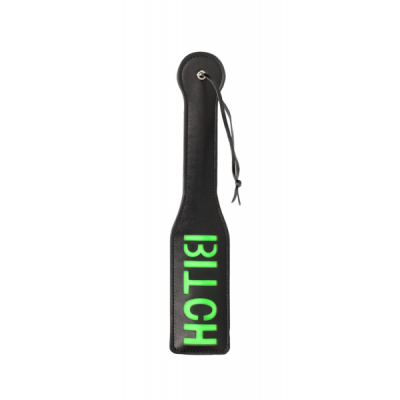 12917-12917_66433d06bb1bc3.77811563_bitch_large.png