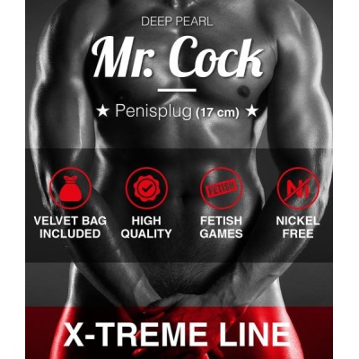 14077-14077_665dcd15cb9e85.66758657_flexible-ribbed-penis-plug-urethral-sound4_large.jpg
