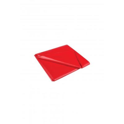 8092-8092_665dbd8854f102.11204348_joydivision-wet-games-sheet-sex-sheet-red-1_large.jpg