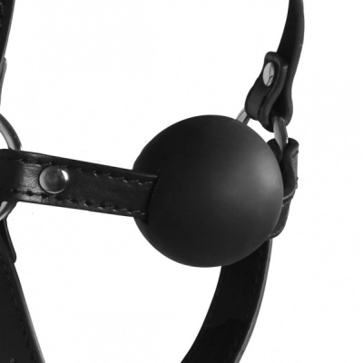 BLINDFOLDED HEAD HARNESS WITH SOLID BALL GAG