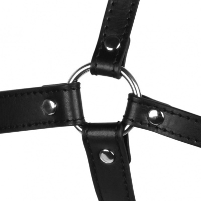 BLINDFOLDED HEAD HARNESS WITH SOLID BALL GAG