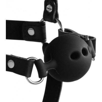 HEAD HARNESS WITH BREATHABLE BALL GAG AND NOSE HOOKS