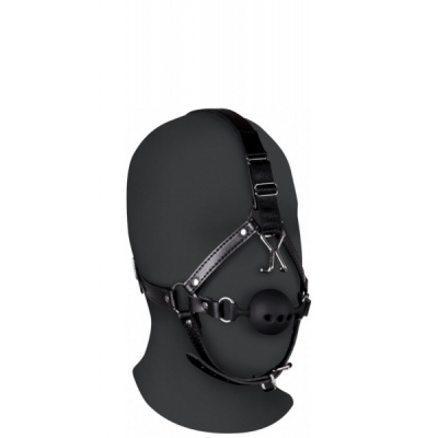 HEAD HARNESS WITH BREATHABLE BALL GAG AND NOSE HOOKS